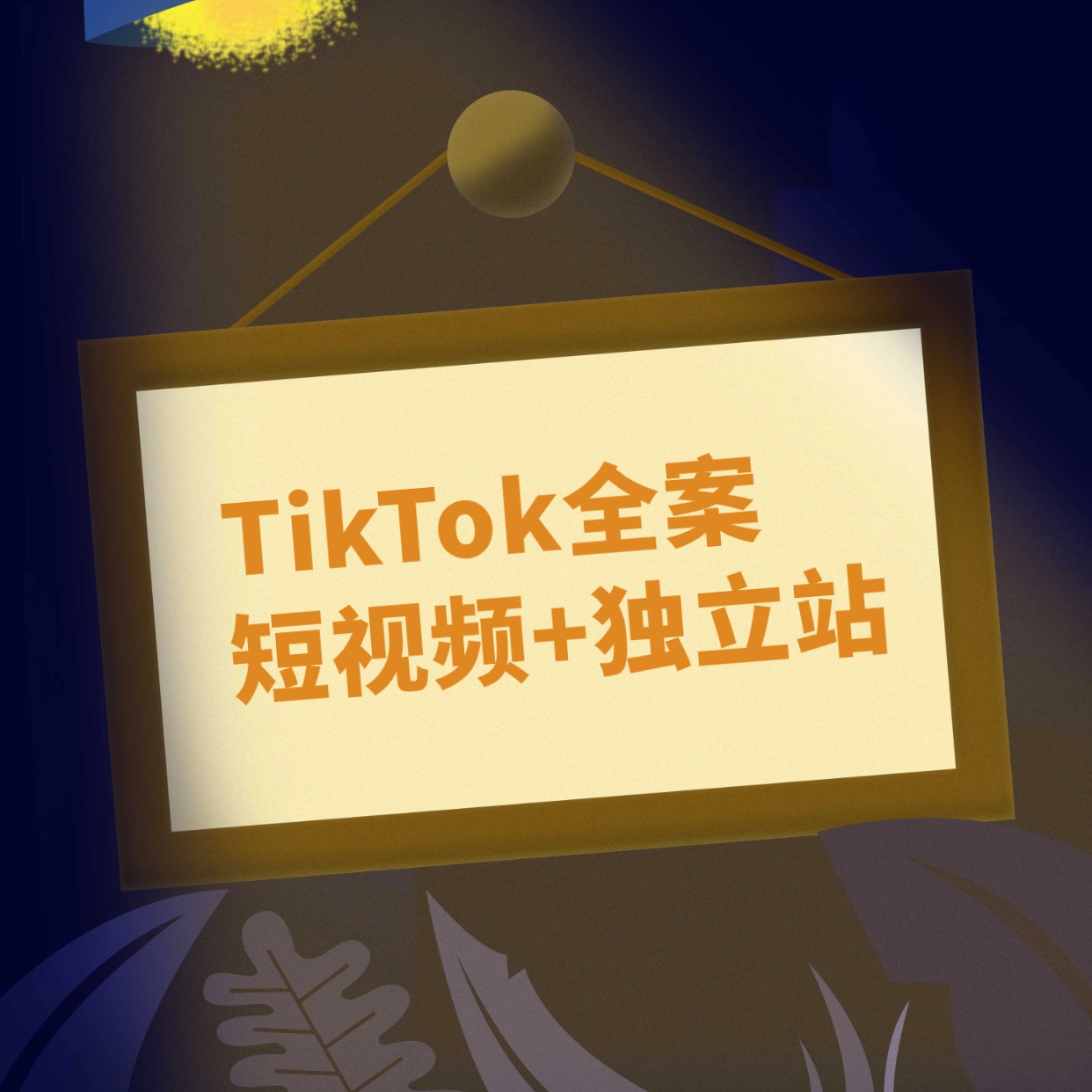 TikTok全案__短视频+独立站 (1)