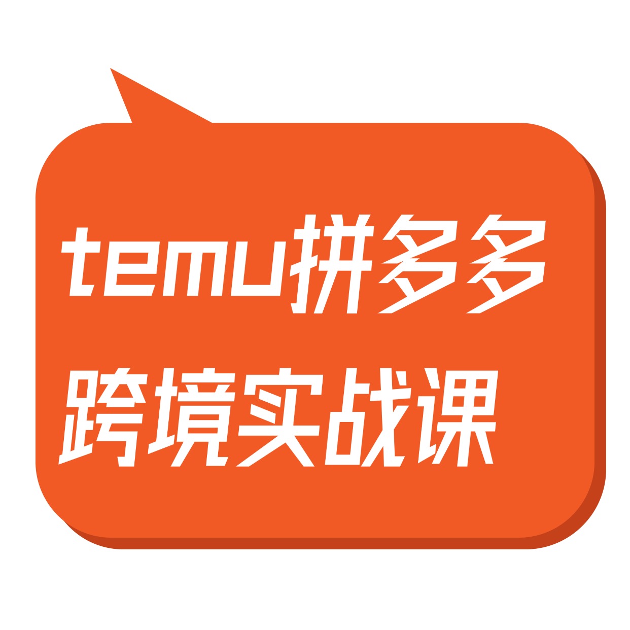 temu拼多多__跨境实战课