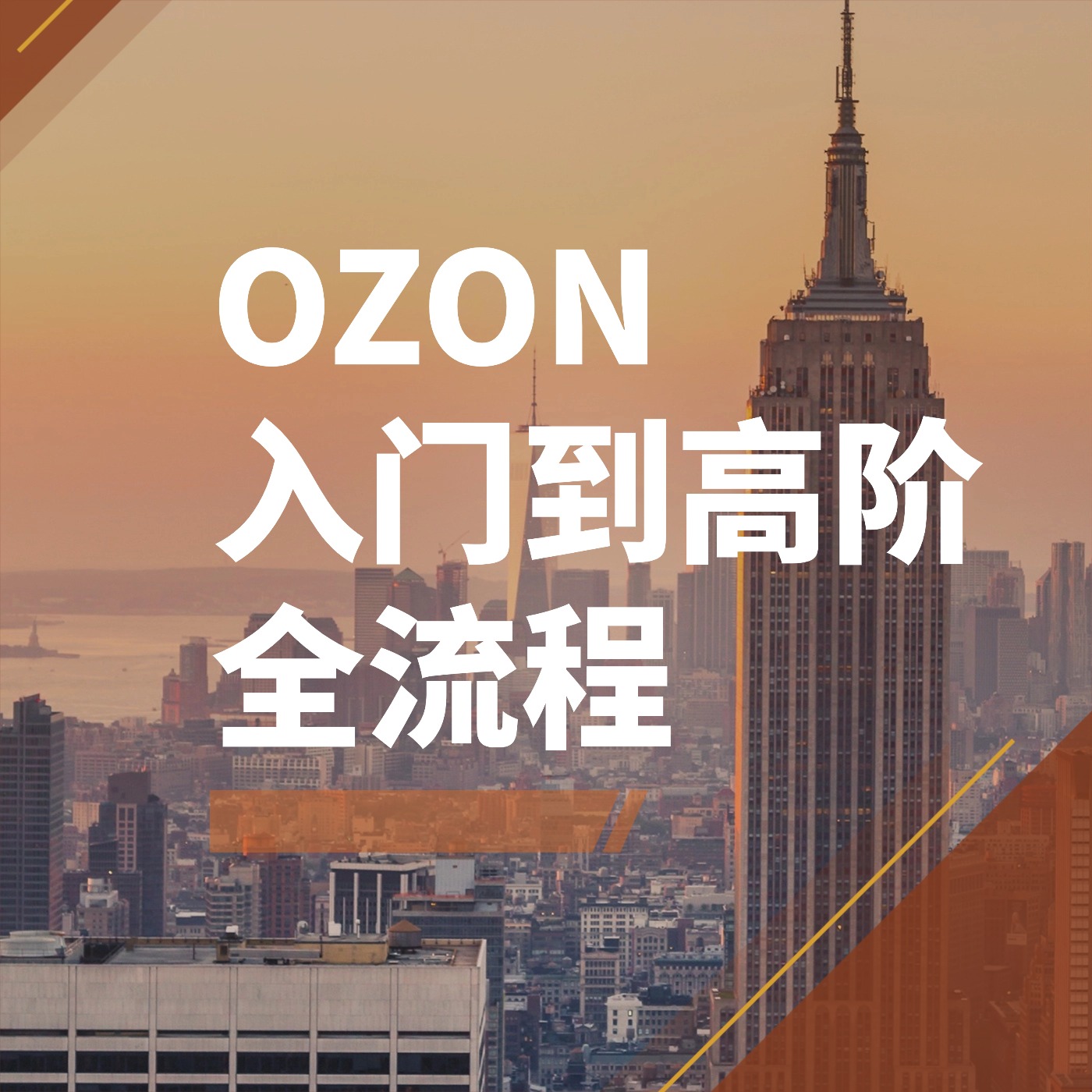 OZON__入门到高阶__全流程