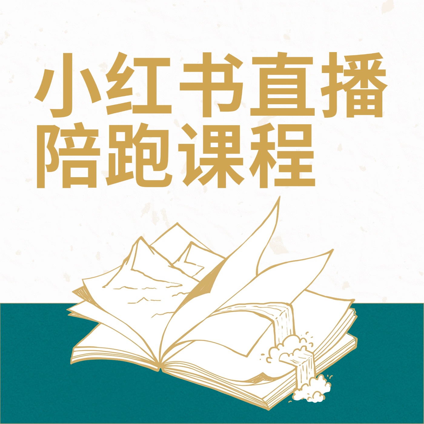 小红书直播陪跑课程